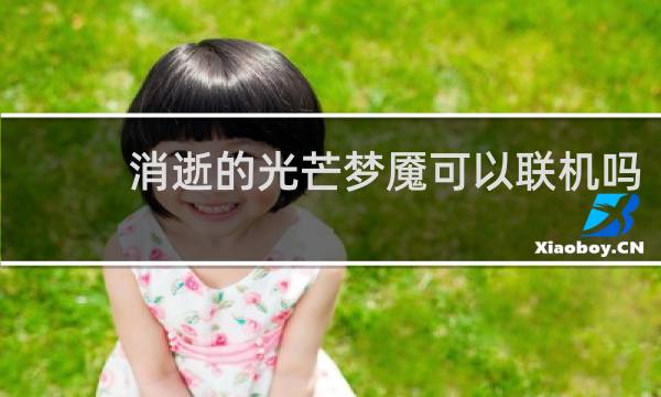 消逝的光芒梦魇可以联机吗