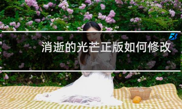 消逝的光芒正版如何修改