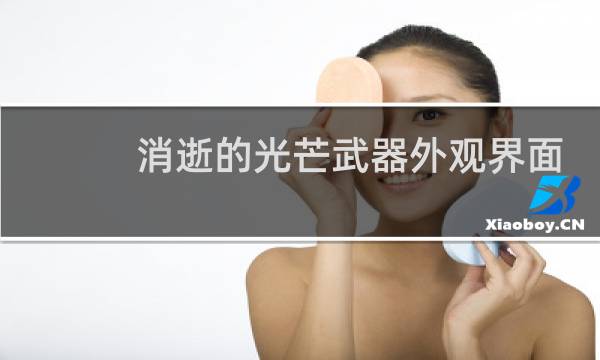 消逝的光芒武器外观界面