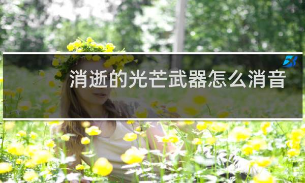 消逝的光芒武器怎么消音