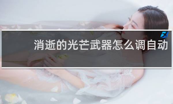 消逝的光芒武器怎么调自动