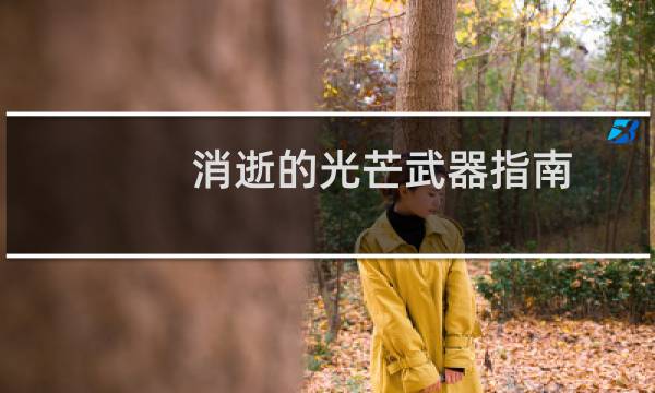 消逝的光芒武器指南