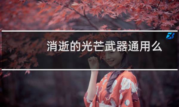消逝的光芒武器通用么