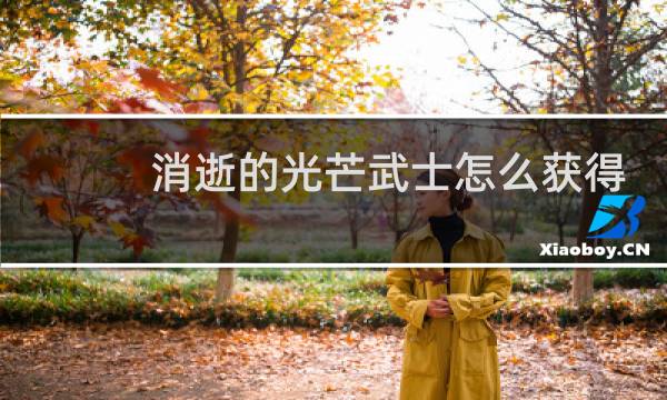 消逝的光芒武士怎么获得