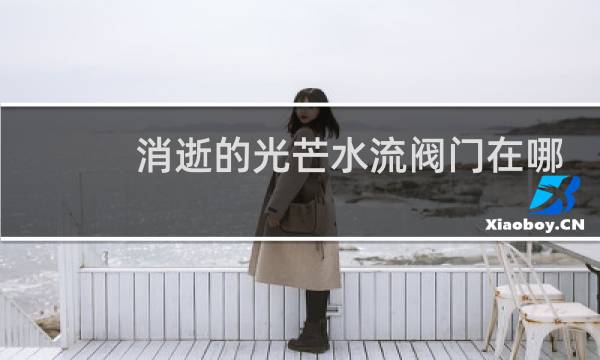 消逝的光芒水流阀门在哪