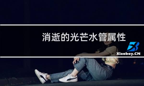 消逝的光芒水管属性