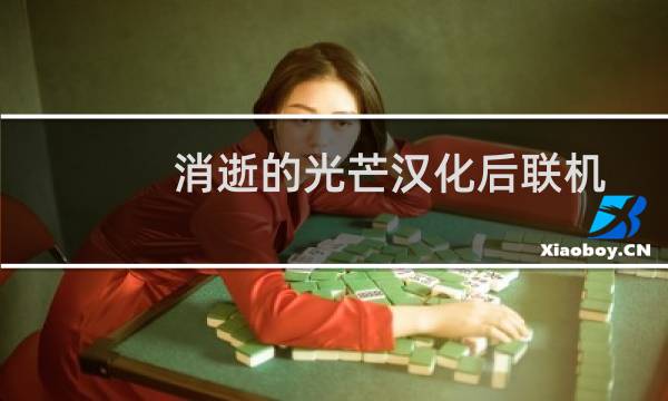 消逝的光芒汉化后联机