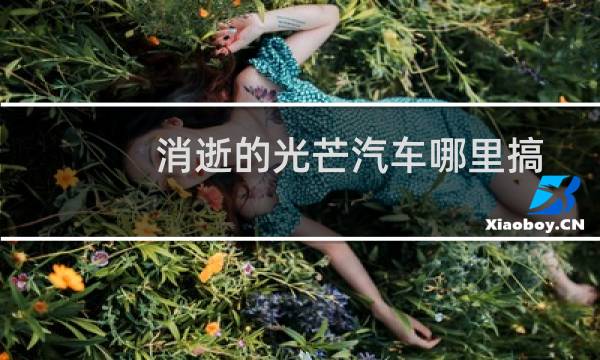 消逝的光芒汽车哪里搞
