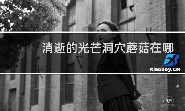 消逝的光芒洞穴蘑菇在哪