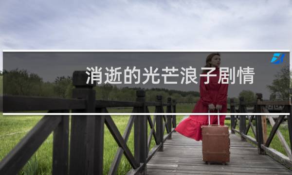 消逝的光芒浪子剧情