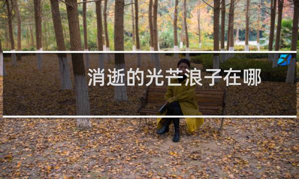 消逝的光芒浪子在哪