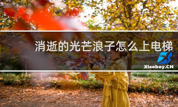 消逝的光芒浪子怎么上电梯