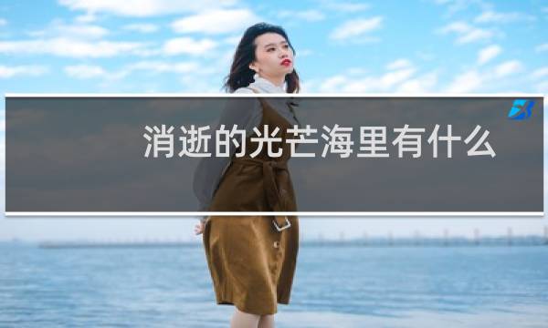 消逝的光芒海里有什么