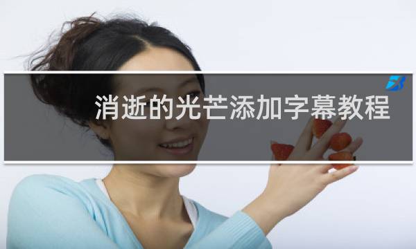 消逝的光芒添加字幕教程