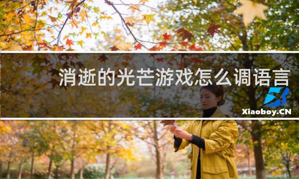 消逝的光芒游戏怎么调语言