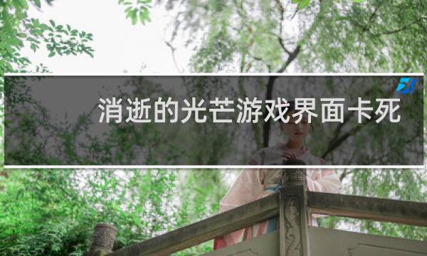消逝的光芒游戏界面卡死