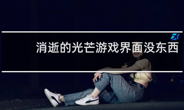 消逝的光芒游戏界面没东西