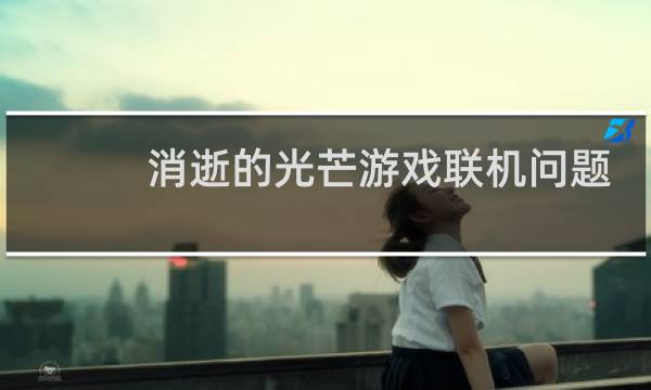 消逝的光芒游戏联机问题