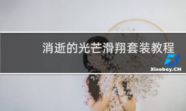 消逝的光芒滑翔套装教程
