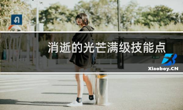 消逝的光芒满级技能点