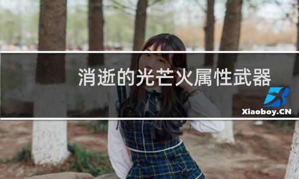 消逝的光芒火属性武器