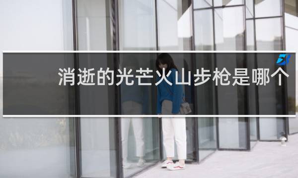 消逝的光芒火山步枪是哪个