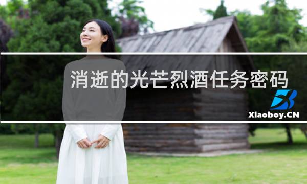 消逝的光芒烈酒任务密码