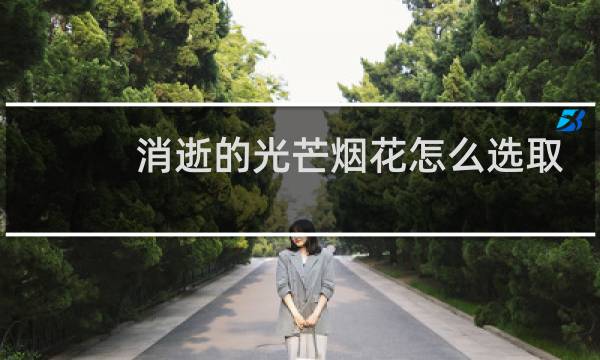 消逝的光芒烟花怎么选取