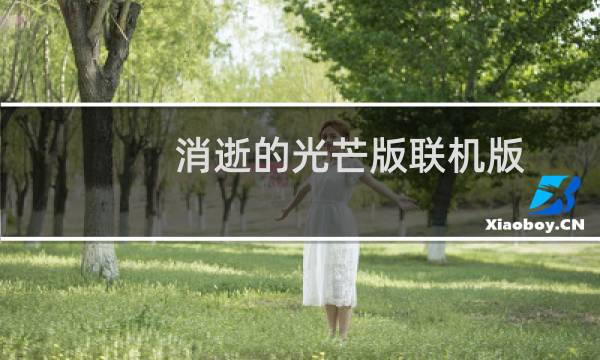 消逝的光芒版联机版