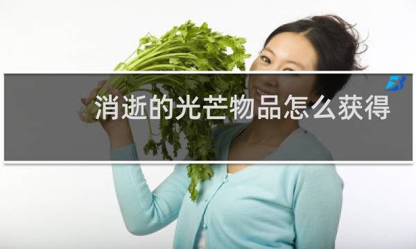 消逝的光芒物品怎么获得