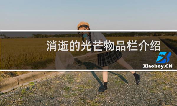 消逝的光芒物品栏介绍