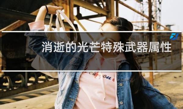消逝的光芒特殊武器属性