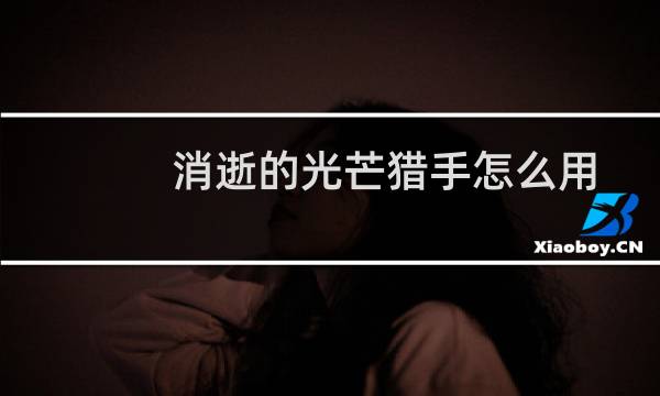 消逝的光芒猎手怎么用