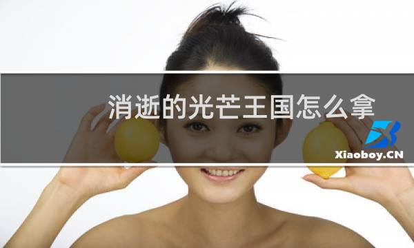消逝的光芒王国怎么拿