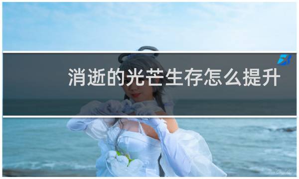 消逝的光芒生存怎么提升