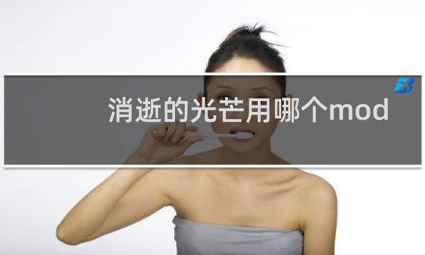 消逝的光芒用哪个mod