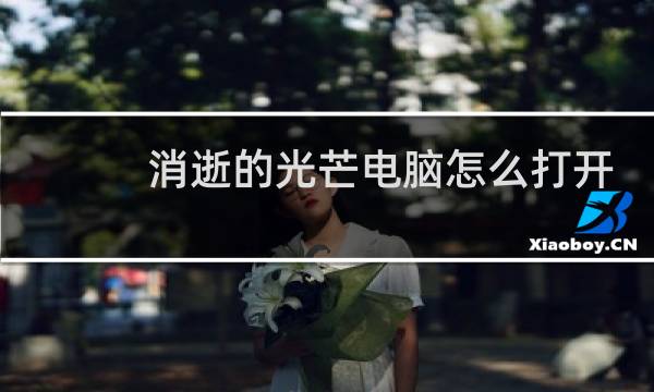 消逝的光芒电脑怎么打开
