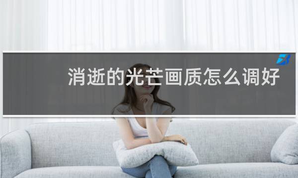 消逝的光芒画质怎么调好