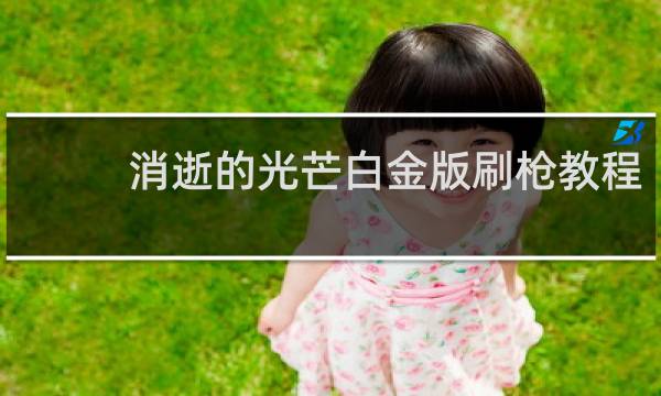 消逝的光芒白金版刷枪教程