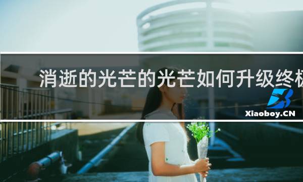 消逝的光芒的光芒如何升级终极