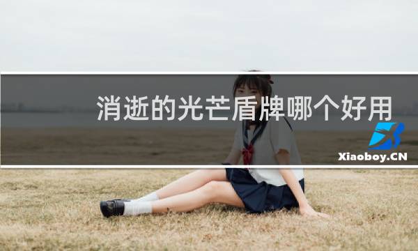 消逝的光芒盾牌哪个好用