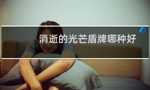 消逝的光芒盾牌哪种好