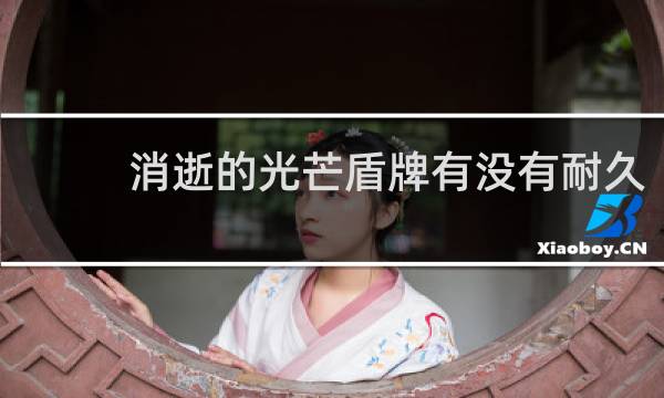 消逝的光芒盾牌有没有耐久