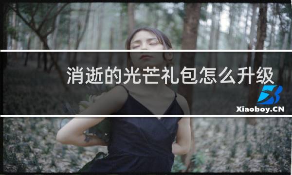 消逝的光芒礼包怎么升级
