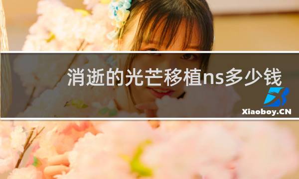 消逝的光芒移植ns多少钱