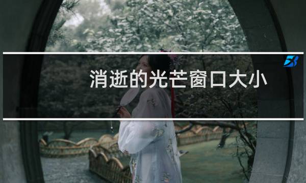 消逝的光芒窗口大小
