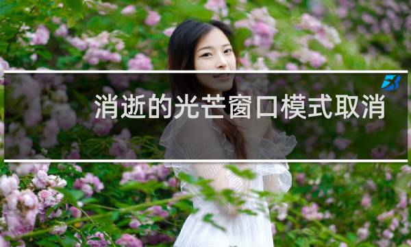 消逝的光芒窗口模式取消