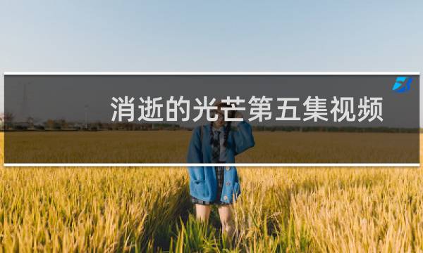 消逝的光芒第五集视频
