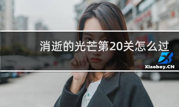 消逝的光芒第20关怎么过