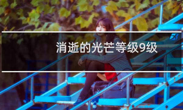 消逝的光芒等级9级